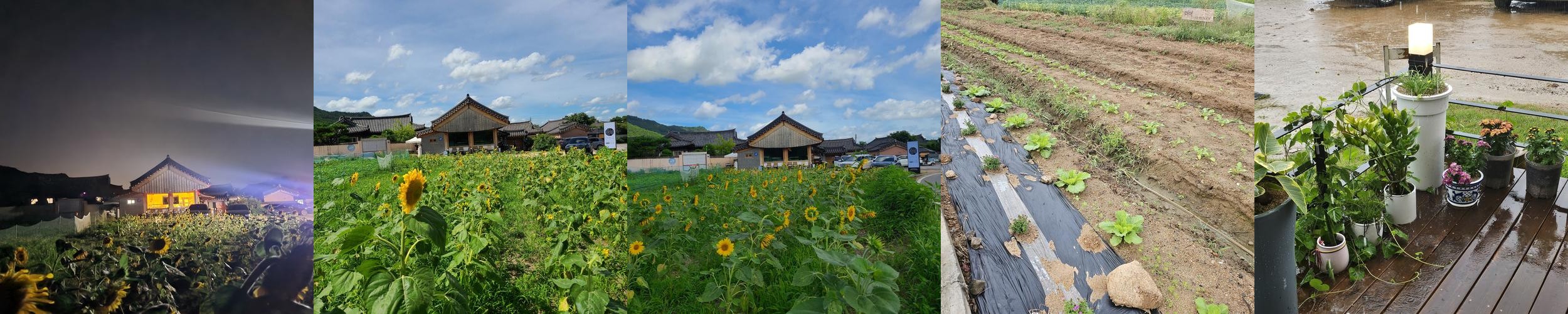 경주 소고기집 베스트 추천 리스트 TOP 10 경주 소고기집 베스트 추천 리스트 TOP 10