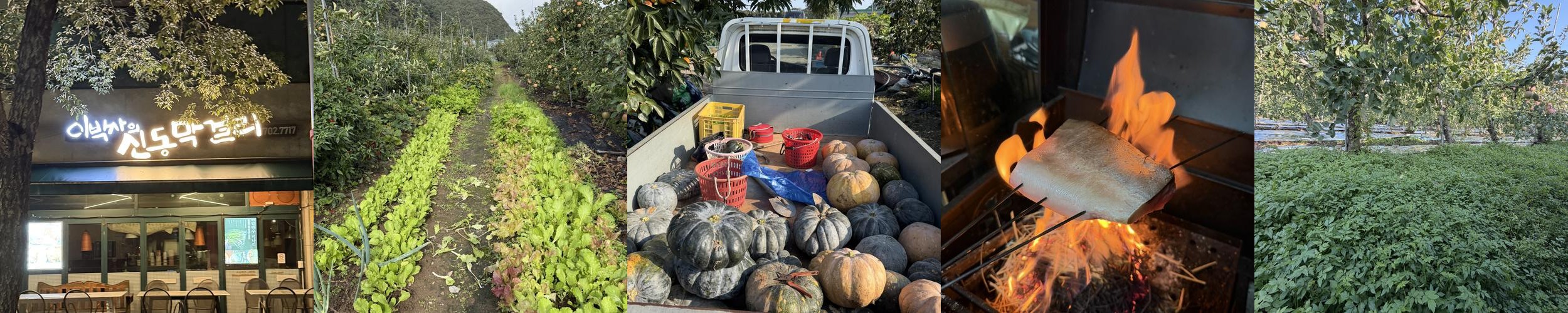 용강동 맛집 베스트 추천 리스트 TOP 10