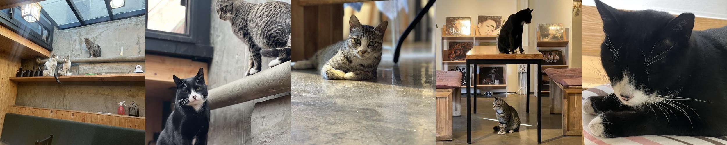 인천 차이나타운 맛집 베스트 추천 리스트 TOP 10