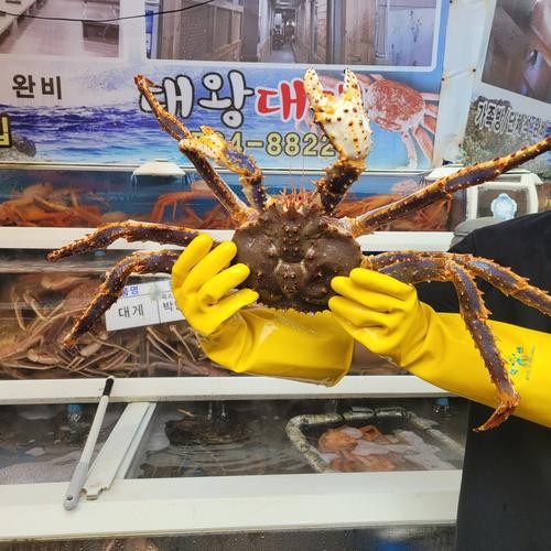 기장시장 맛집 베스트 추천 리스트 TOP 10