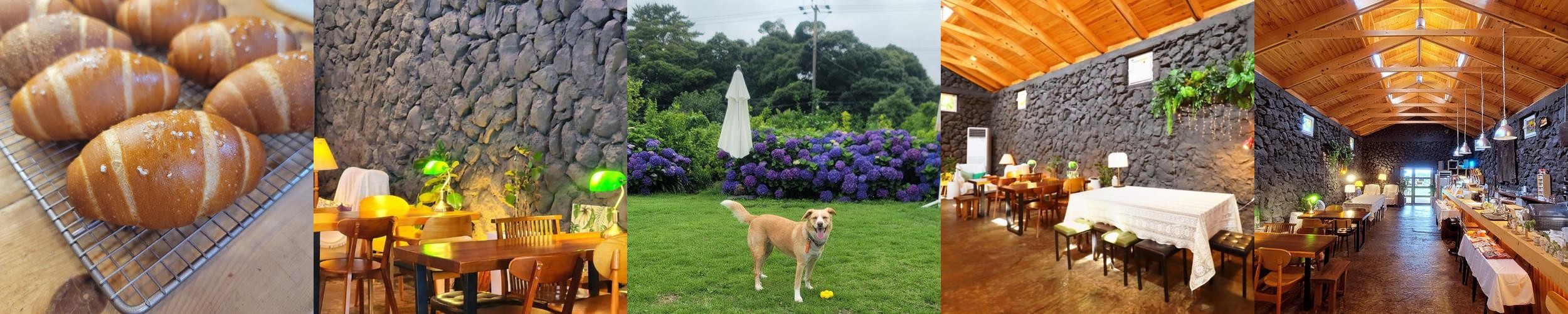 카페느슨: 제주 서귀포의 애견동반카페|제주도 브런치 카페 추천 카페느슨: 제주 서귀포의 애견동반카페