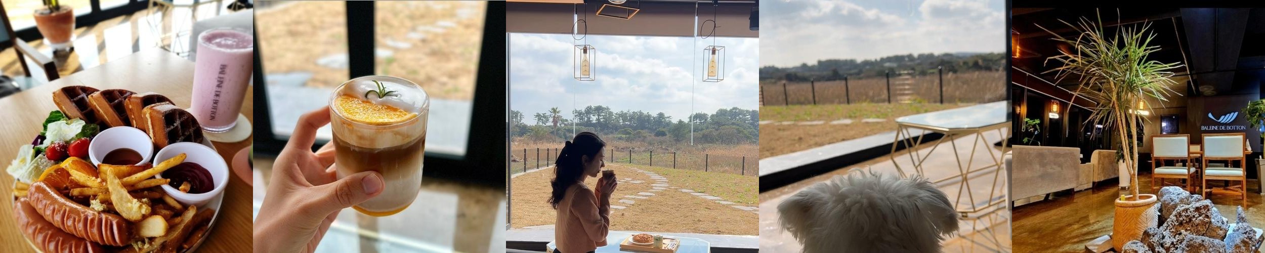 제주도 브런치 카페 베스트 추천 리스트 TOP 10