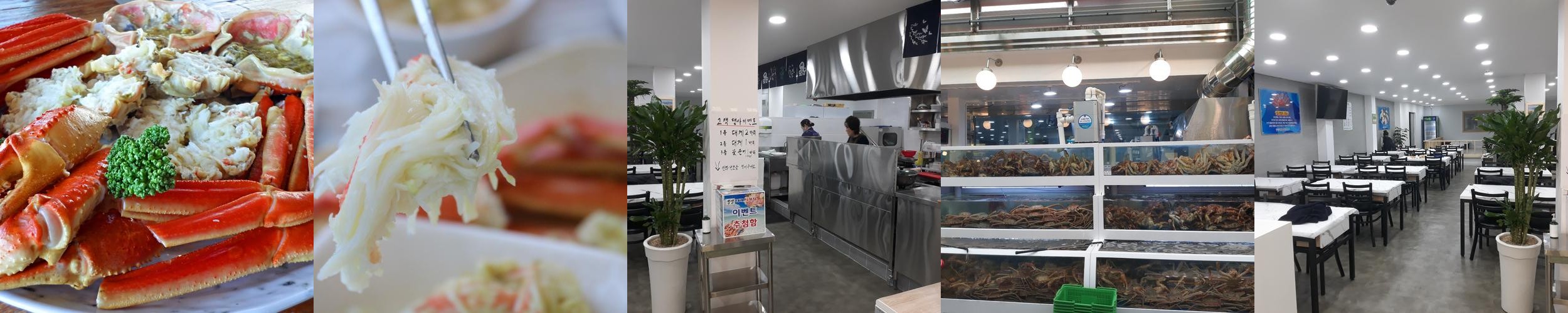 속초 킹크랩 맛집 베스트 추천 리스트 TOP 10