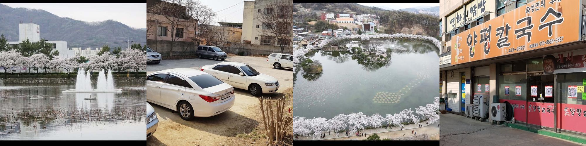 김천 연화지 맛집 베스트 추천 리스트 TOP 10