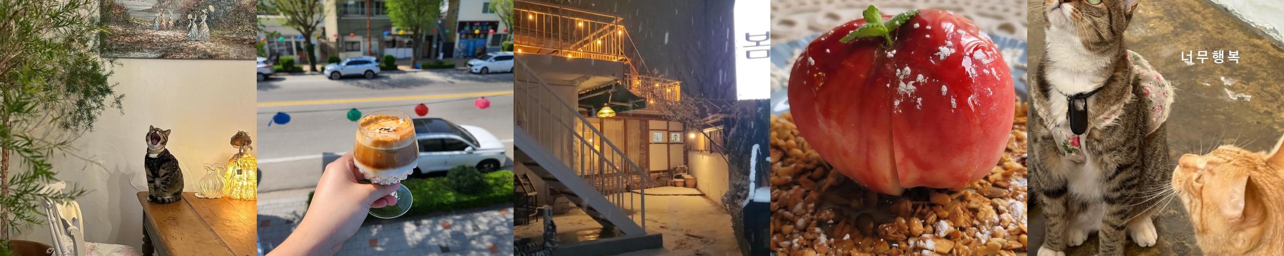 강릉 중앙시장 근처 맛집 베스트 추천 리스트 TOP 10