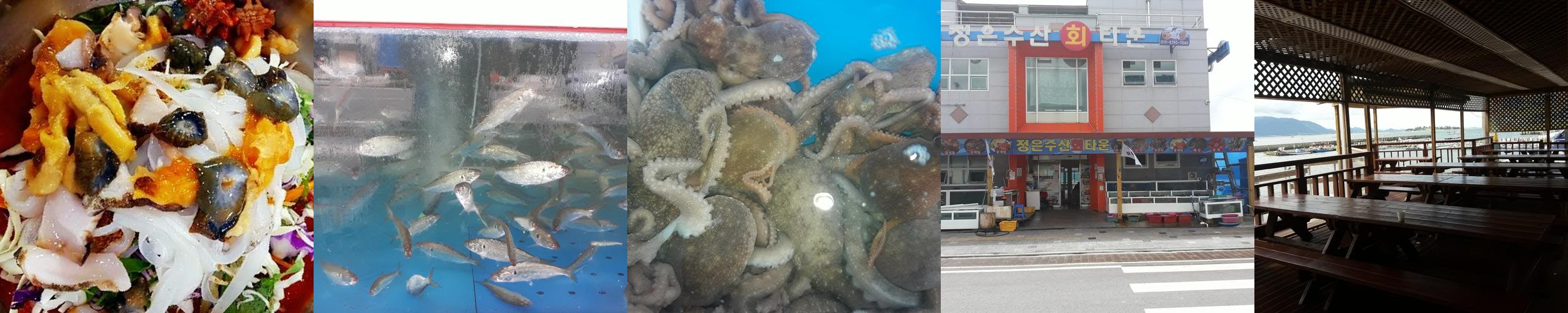 고창 횟집 베스트 추천 리스트 TOP 10