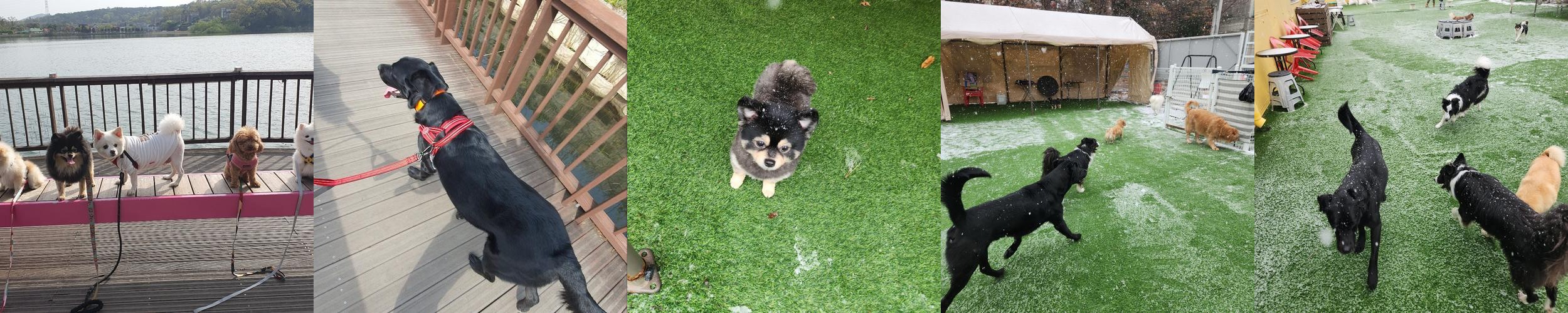 보통리 저수지 카페 베스트 추천 리스트 TOP 10