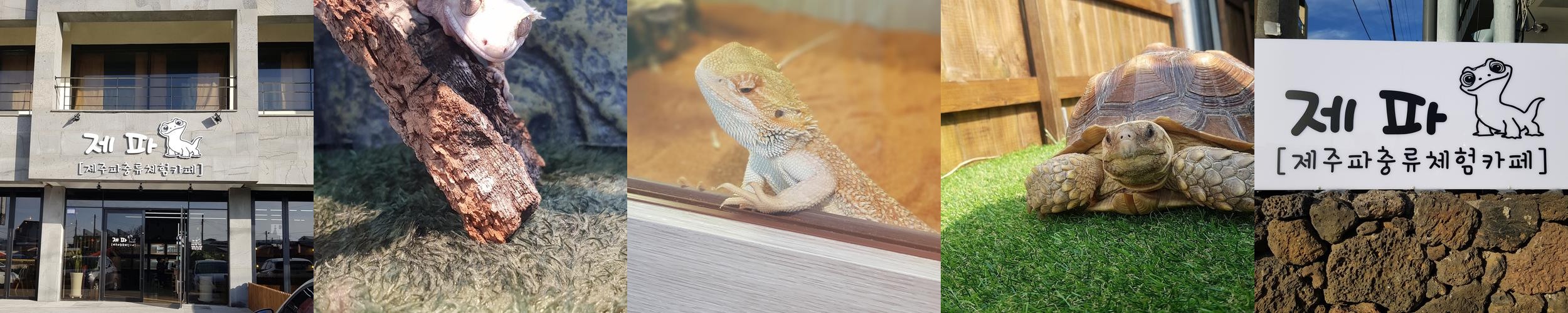 월정리 카페 베스트 추천 리스트 TOP 10