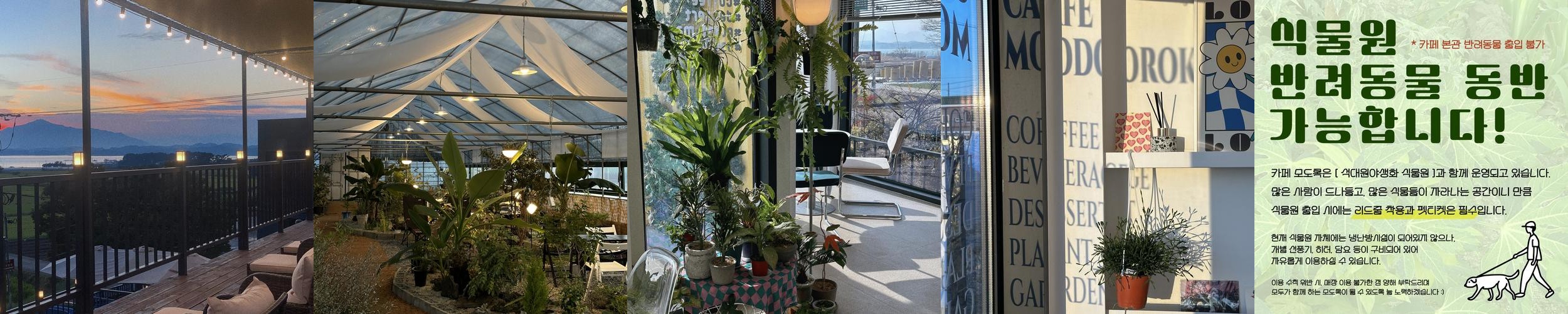 경남 사천 카페 베스트 추천 리스트 TOP 10