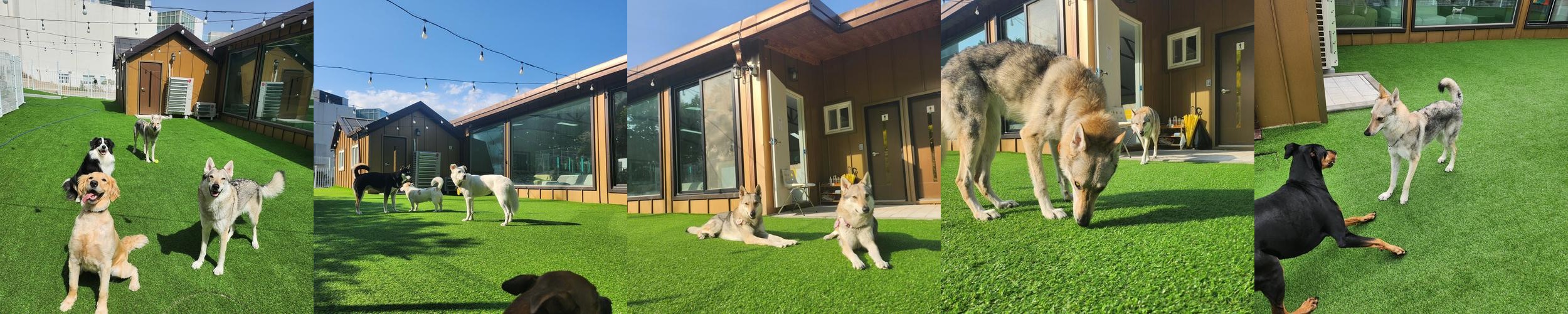 검단 대형 카페 베스트 추천 리스트 TOP 10