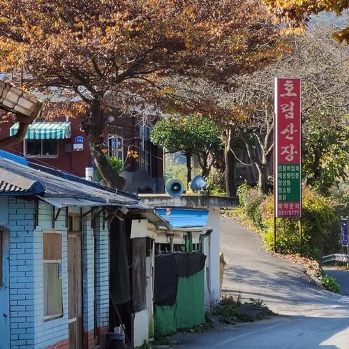 서충주 횟집 베스트 추천 리스트 TOP 10