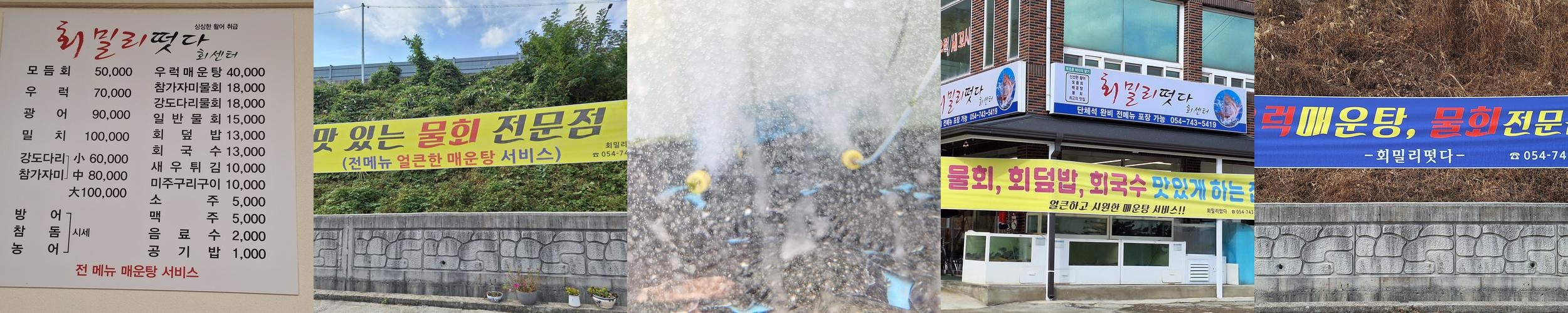 경주 횟집 베스트 추천 리스트 TOP 10