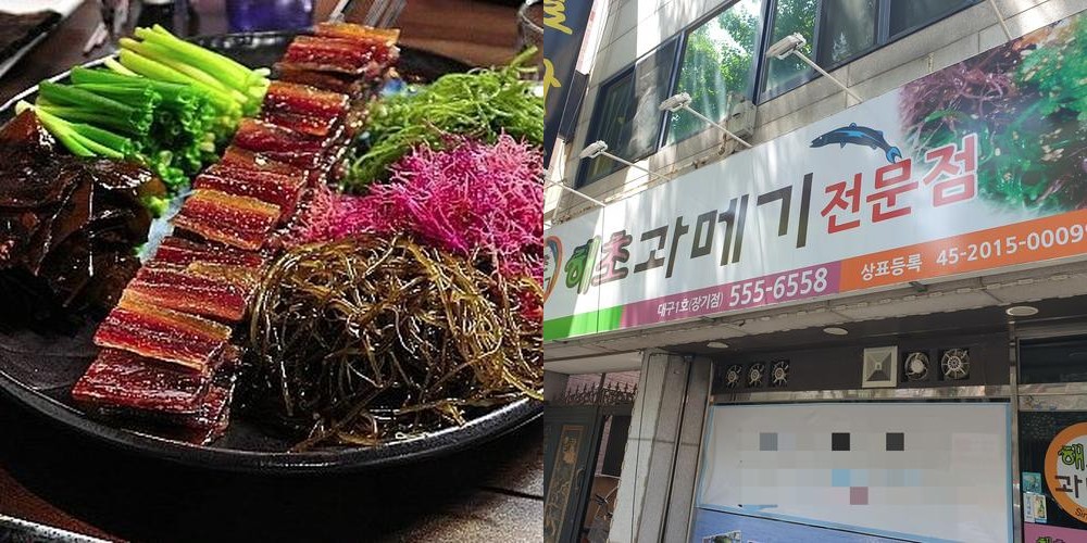 달서구 맛집 베스트 추천 리스트 TOP 10