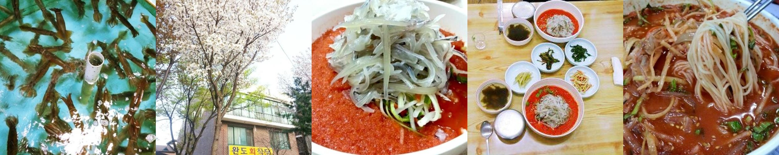 강원도 속초 맛집 베스트 추천 리스트 TOP 10