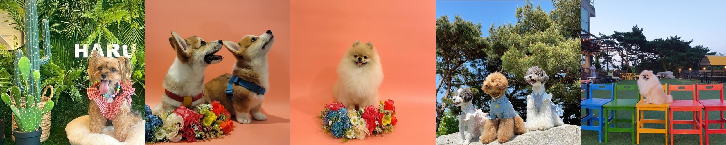 신정호 카페 베스트 추천 리스트 TOP 10