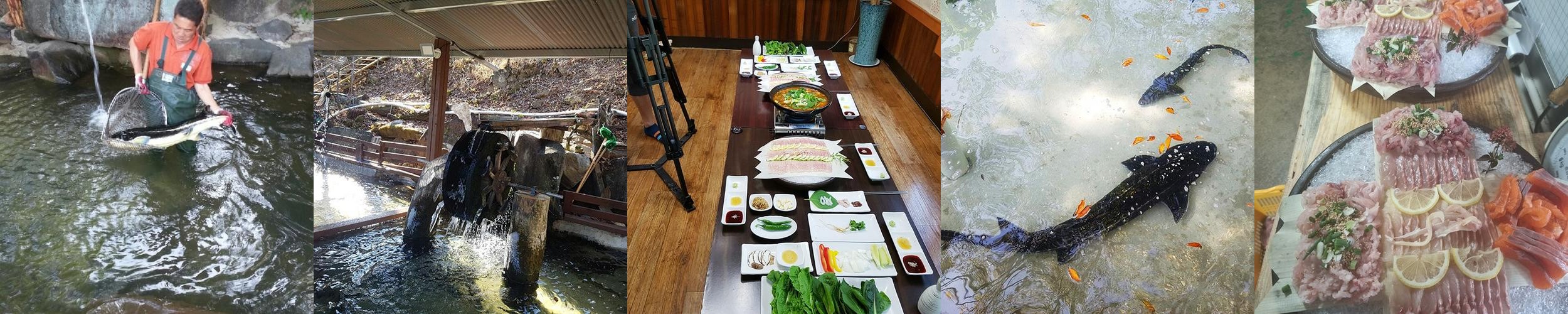 함안 맛집 추천 베스트 리스트 TOP 10