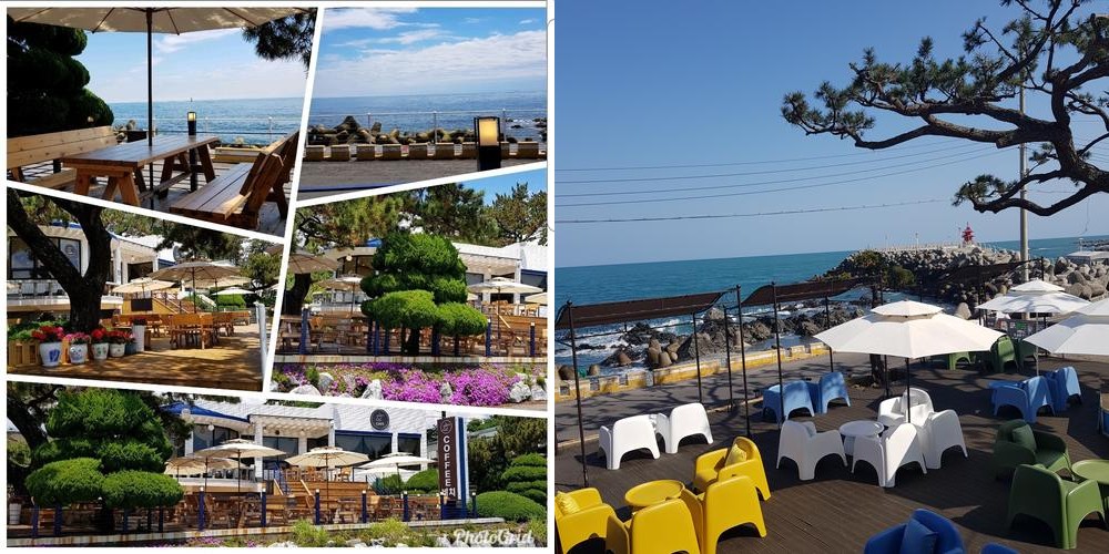 울산 주전 카페 베스트 추천 리스트 TOP 10