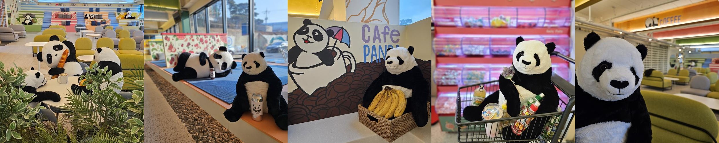 보령 카페 베스트 추천 리스트 TOP 10