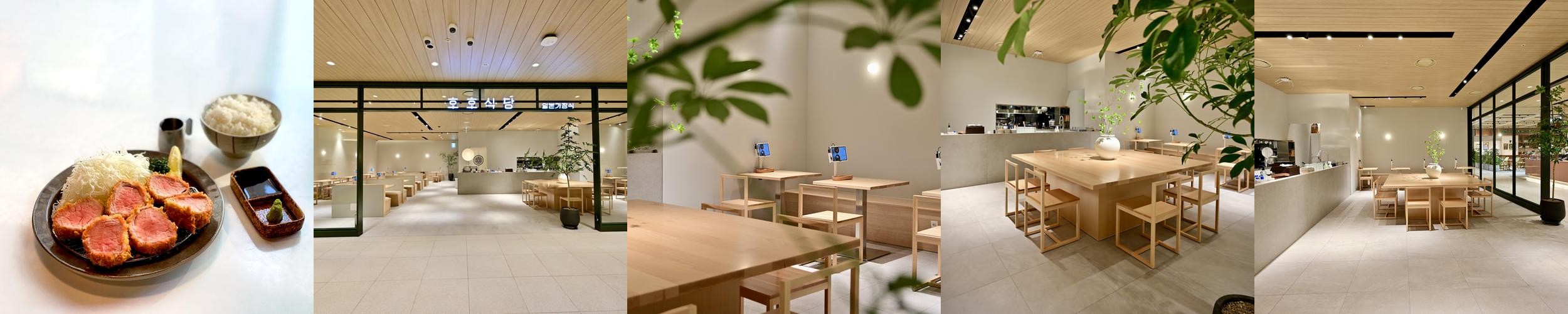 대전 신세계백화점 맛집 베스트 추천 리스트 TOP 10