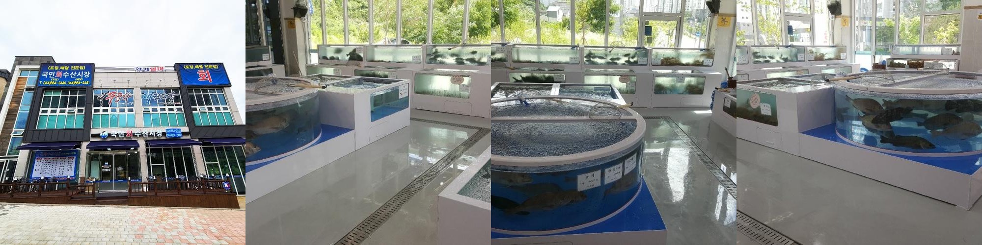 공주 횟집 베스트 추천 리스트 TOP 10