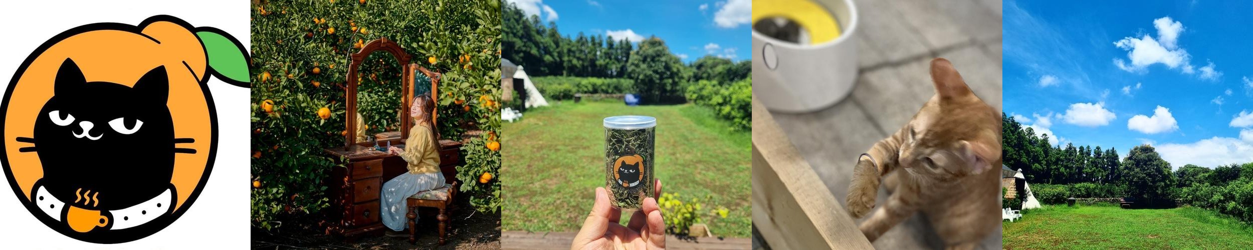 제주 동부 맛집 베스트 추천 리스트 TOP 10 제주 동부 맛집 베스트 추천 리스트 TOP 10