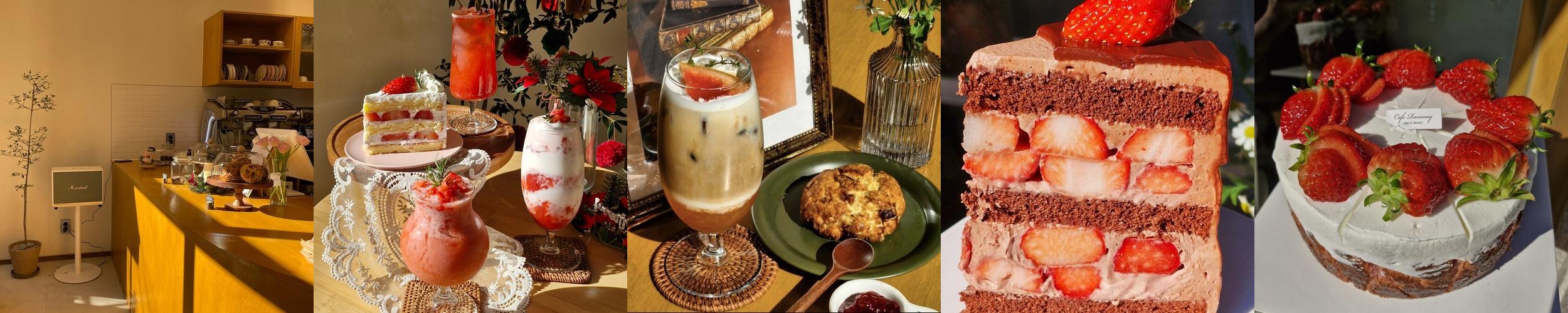 쌍문역 카페 베스트 추천 리스트 TOP 10