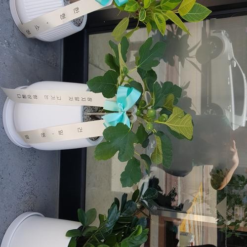 바우: 진주 초전동의 맛집|진주 점심 맛집 추천 바우: 진주 초전동의 맛집