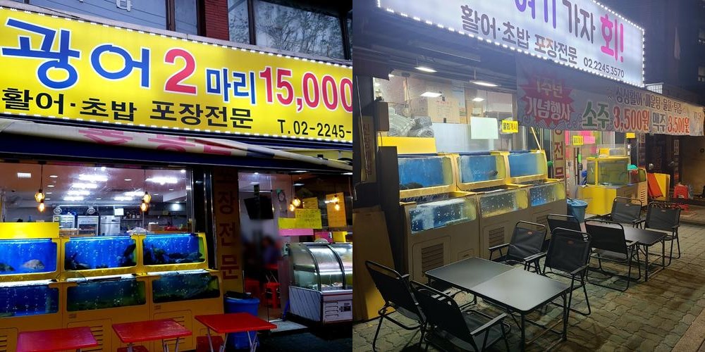 회기역 횟집 베스트 추천 리스트 TOP 10