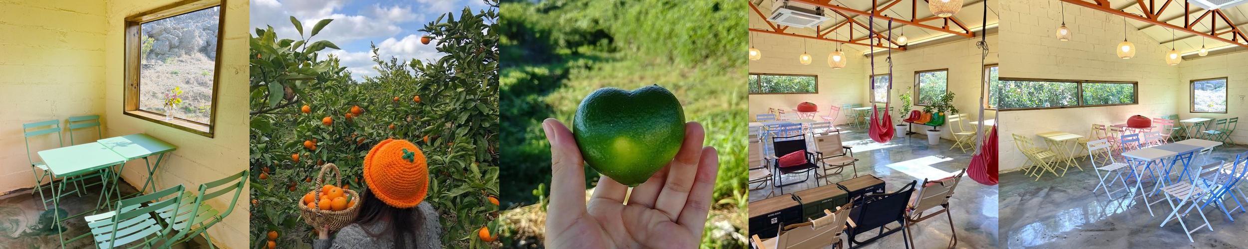 제주도 애월 카페 베스트 추천 리스트 TOP 10 제주도 애월 카페 베스트 추천 리스트 TOP 10