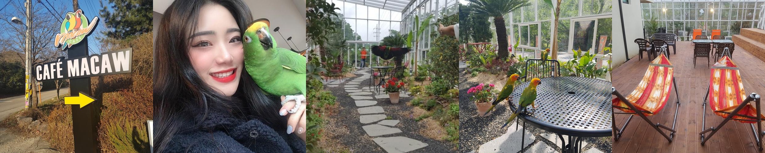 양평 옥천 카페 베스트 추천 리스트 TOP 10