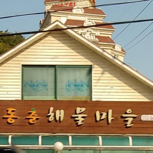 정동진 식당 베스트 추천 리스트 TOP 10