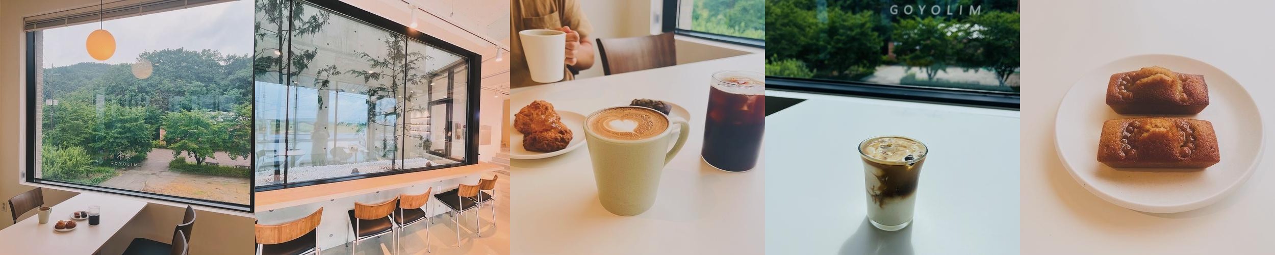 영천 카페 베스트 추천 리스트 TOP 10