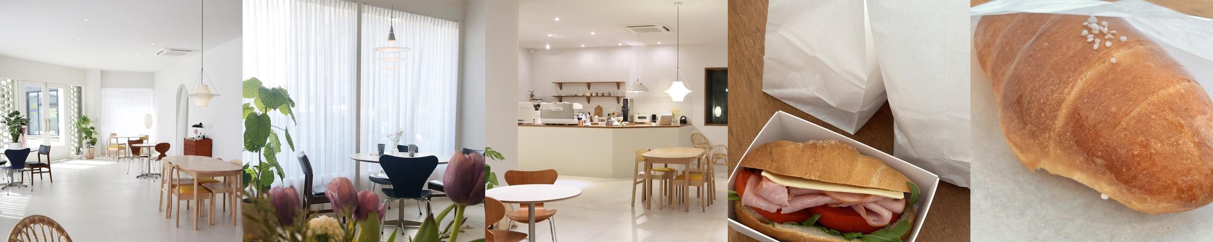 대전 도안동 카페 베스트 추천 리스트 TOP 10