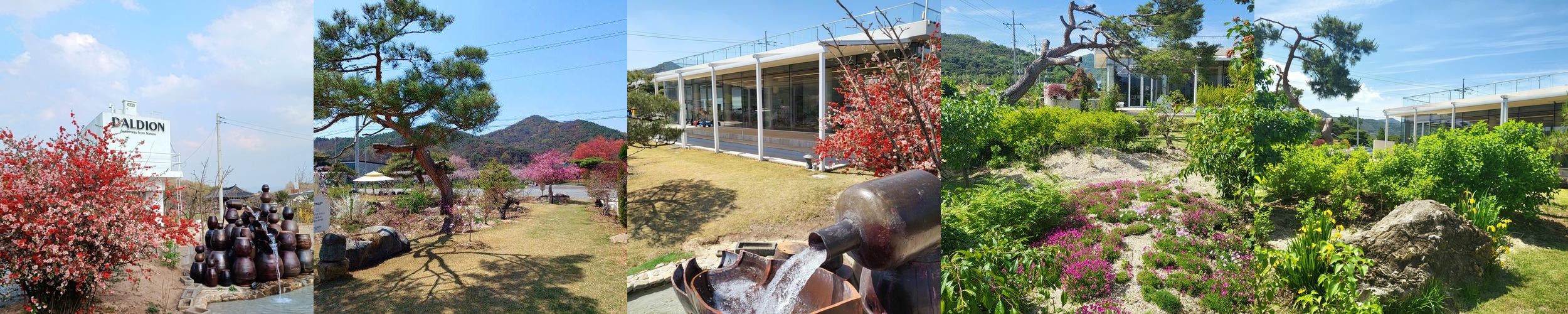 청도군 맛집 베스트 추천 리스트 TOP 10