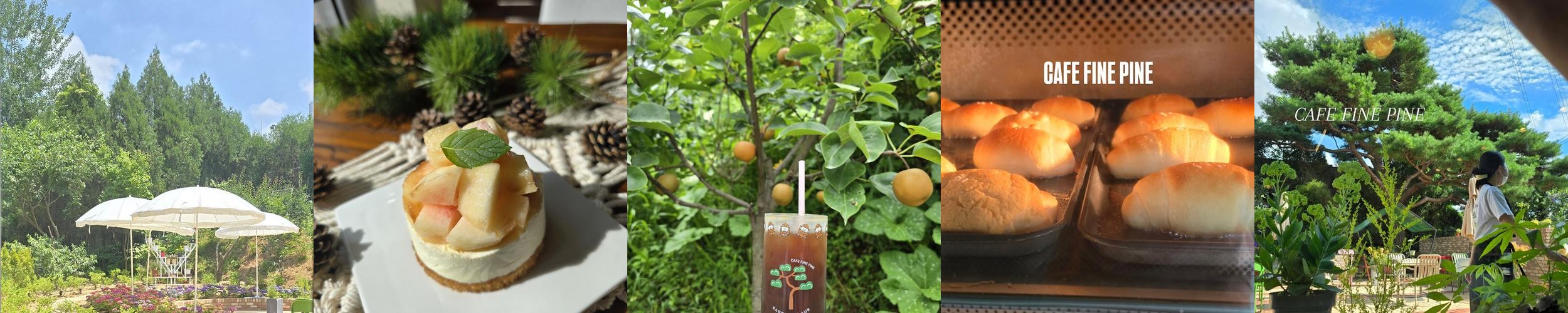 파주 신상카페 베스트 추천 리스트 TOP 10