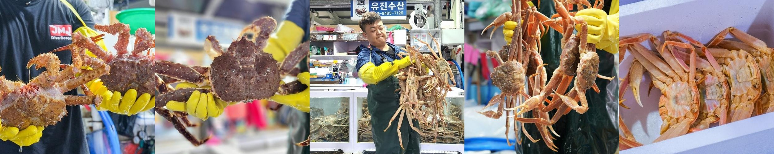 주문진 수산시장 대게 베스트 추천 리스트 TOP 9