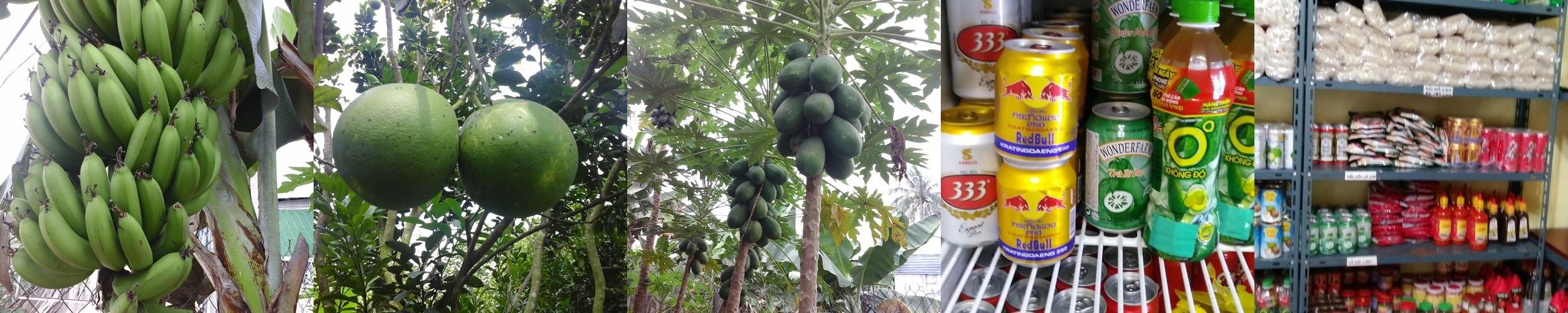 순천 아랫장 맛집 베스트 추천 리스트 TOP 10