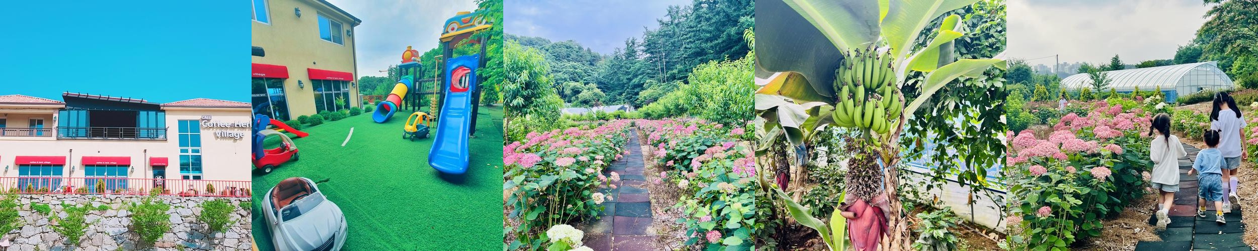 원주 야외 카페 베스트 추천 리스트 TOP 10