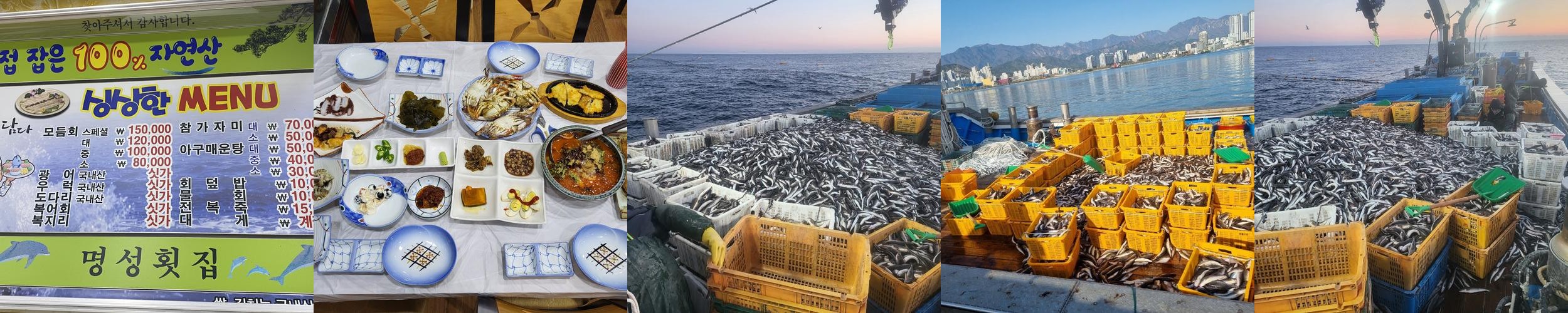 강릉 물회 맛집 베스트 추천 리스트 TOP 8
