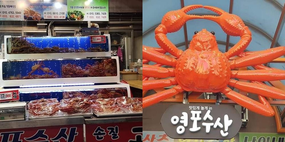 속초 중앙시장 대게 베스트 추천 리스트 TOP 7