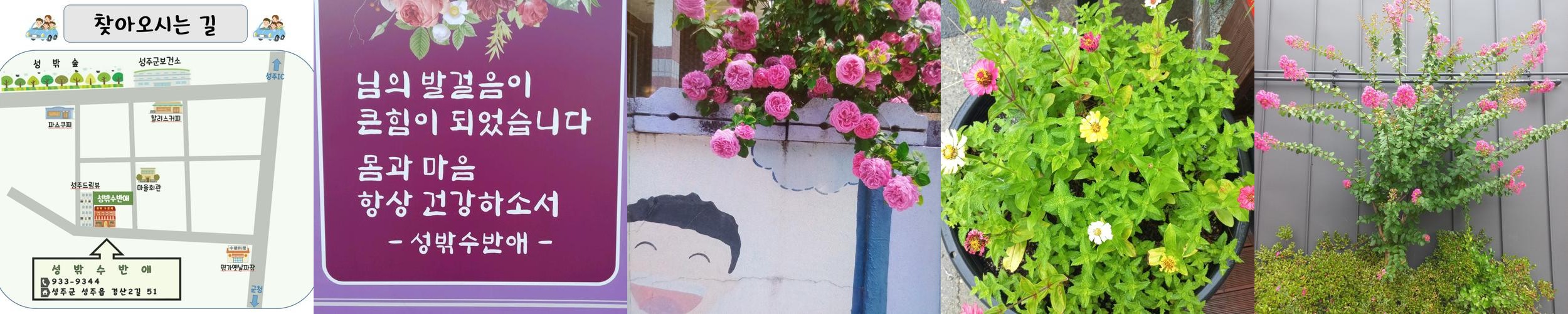 성주군 맛집 베스트 추천 리스트 TOP 10