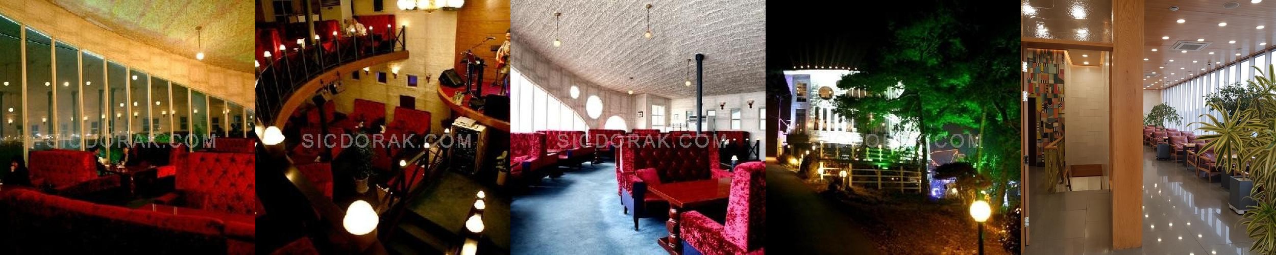 물왕저수지 카페 베스트 추천 리스트 TOP 10