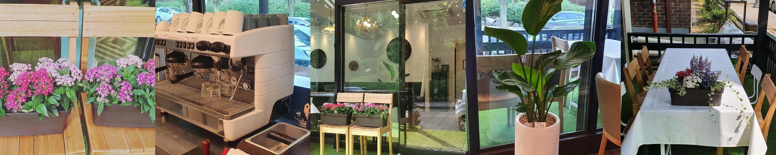 수내동 맛집 베스트 추천 리스트 TOP 10