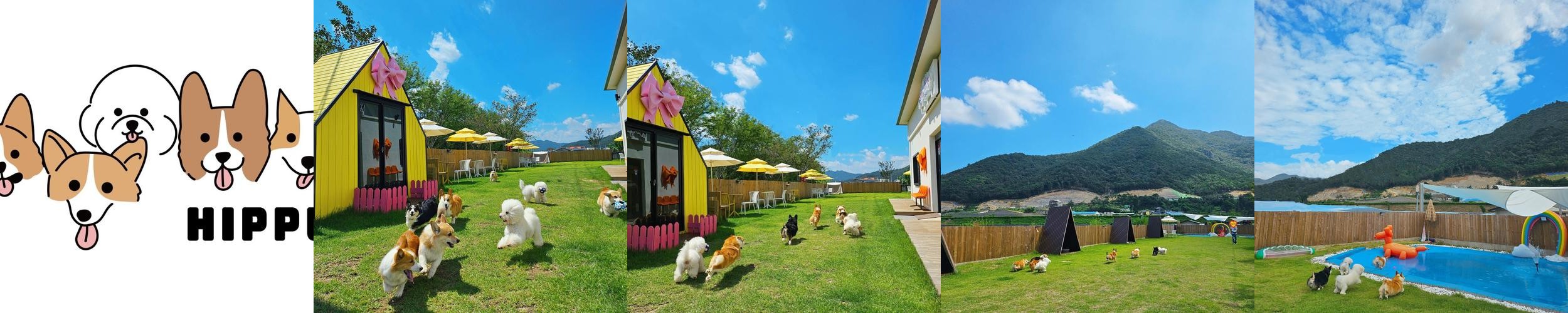 양산 원동 카페 베스트 추천 리스트 TOP 10