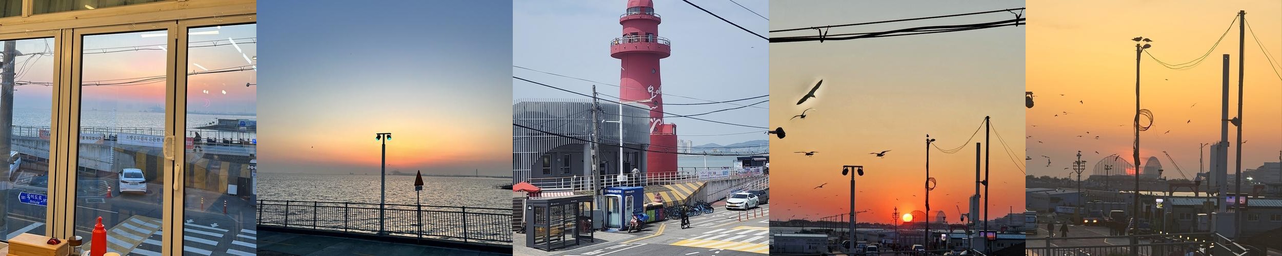 오이도 칼국수 맛집 베스트 추천 리스트 TOP 10