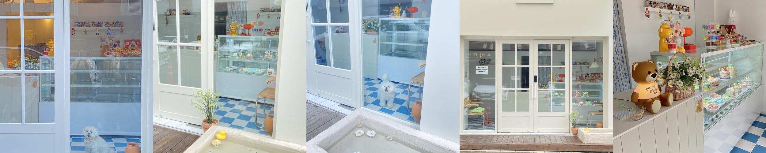 갈마동 카페 베스트 추천 리스트 TOP 10