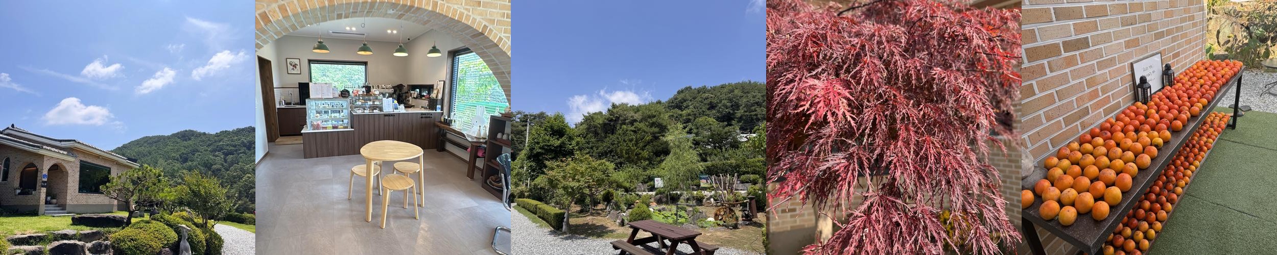 충주 카페 베스트 추천 리스트 TOP 10