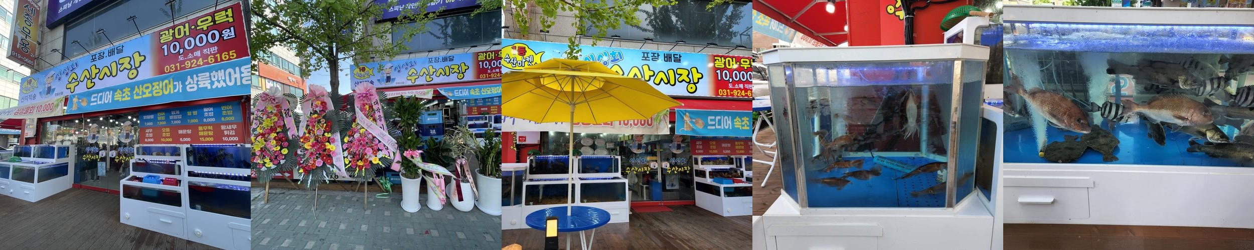 일산 횟집 추천 베스트 리스트 TOP 10 일산 횟집 추천 베스트 리스트 TOP 10