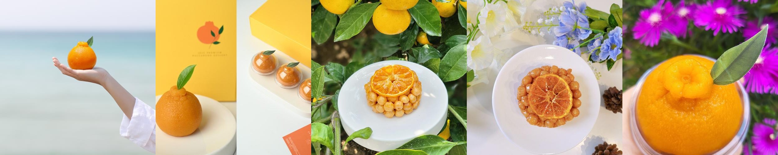 제주 산방산 카페 베스트 추천 리스트 TOP 10