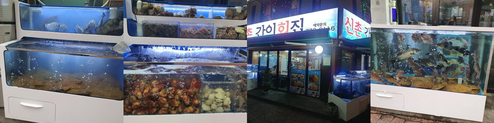 신촌간이회집: 신선한 해산물과 편안한 분위기|신촌 횟집 추천 신촌간이회집: 신선한 해산물과 편안한 분위기